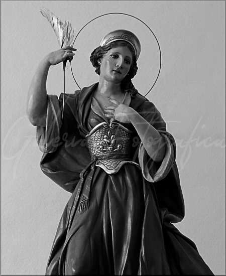 Galería de Fotos