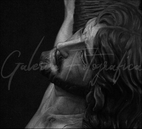 Galería de Fotos