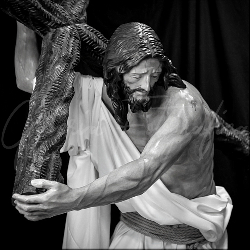 Galería de Fotos