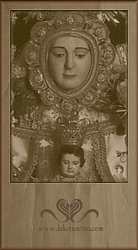 Galería de Fotos