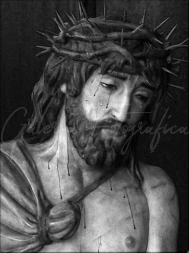 Galer&iacute;a de Fotos