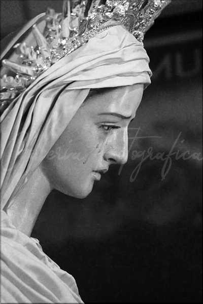 Galer&iacute;a de Fotos