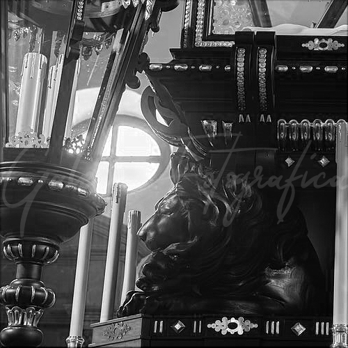 Galer&iacute;a de Fotos