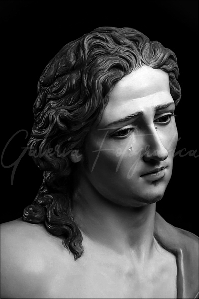 Galer&iacute;a de Fotos