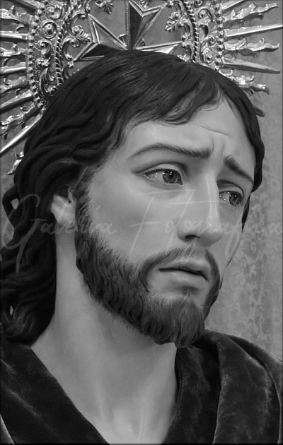 Galer&iacute;a de Fotos