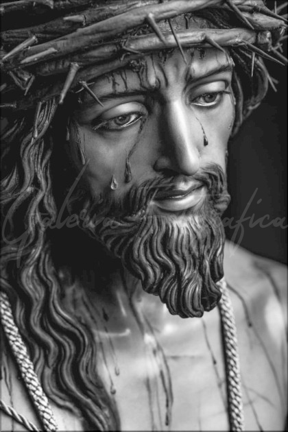 Galer&iacute;a de Fotos