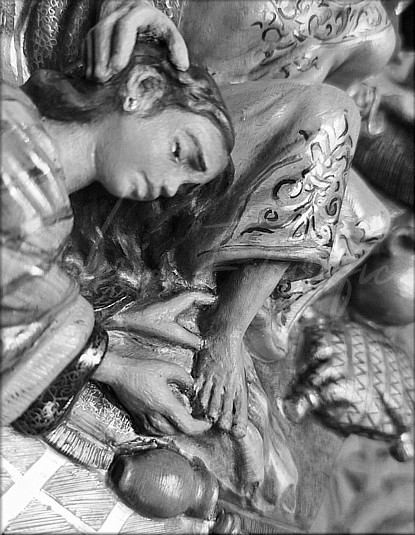 Galer&iacute;a de Fotos