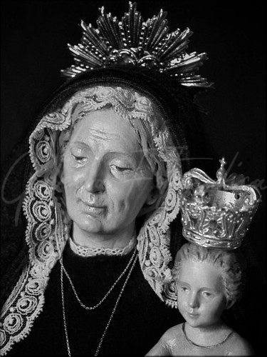 Galer&iacute;a de Fotos
