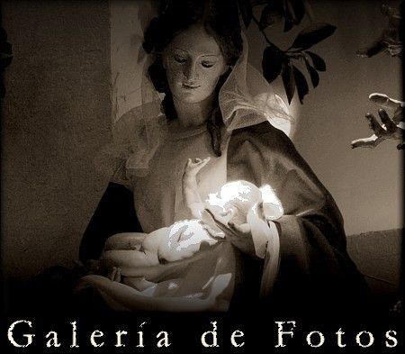 Galera de Fotos