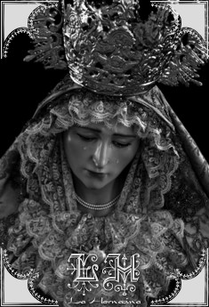 Galería de Fotos