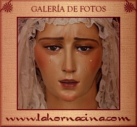 Galería de Fotos