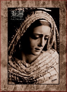 Galería de Fotos