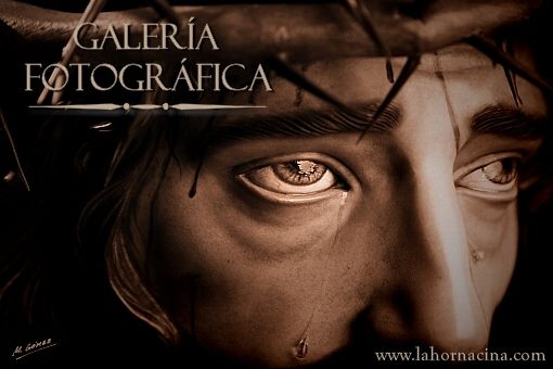 Galera de Fotos