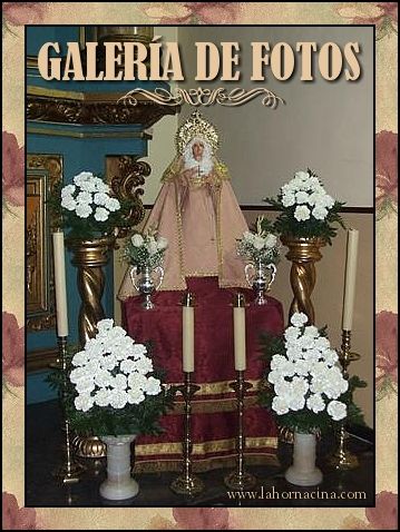 Galería de Fotos
