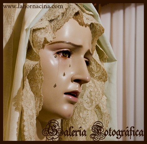 Galería de Fotos
