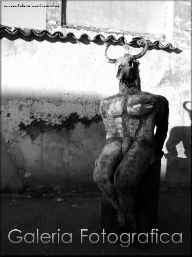 Galería de Fotos