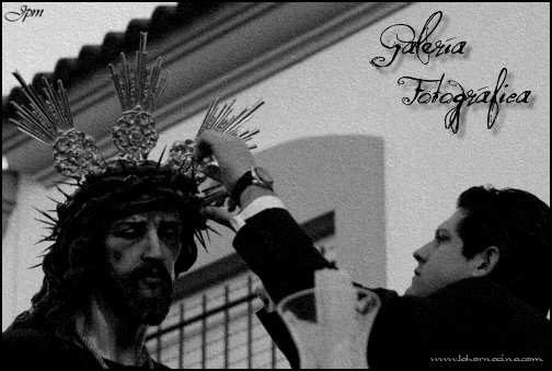 Galería de Fotos