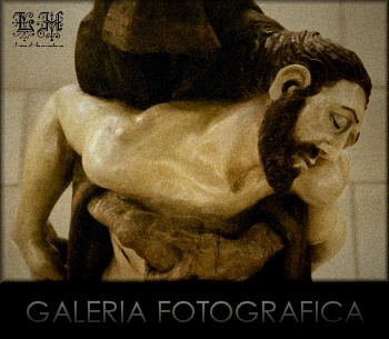 Galería de Fotos