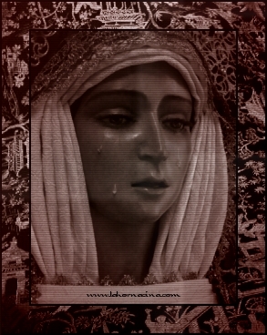 Galería de Fotos