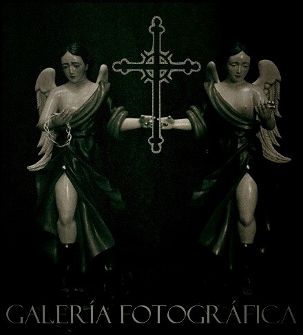 Galería de Fotos
