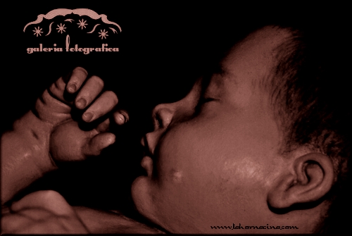Galería de Fotos
