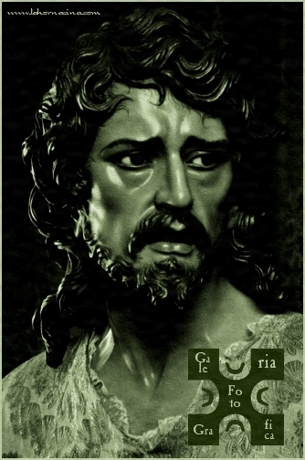 Galería de Fotos