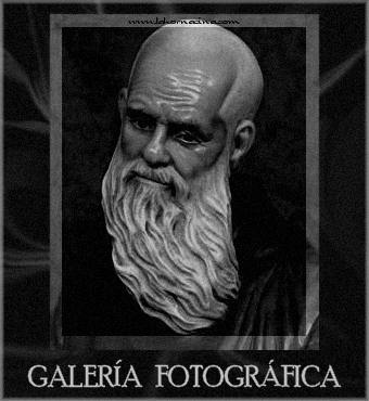 Galería de Fotos