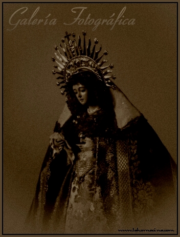 Galería de Fotos