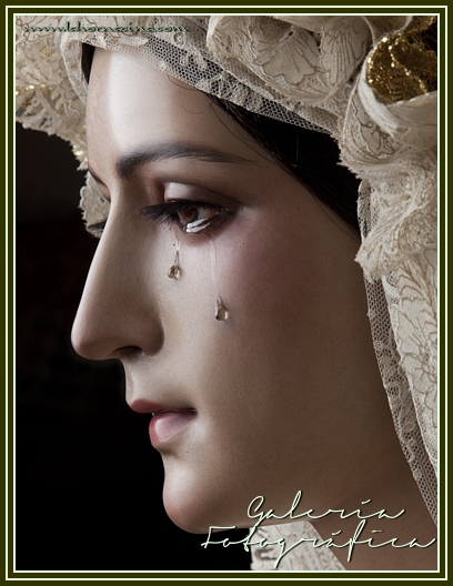 Galería de Fotos