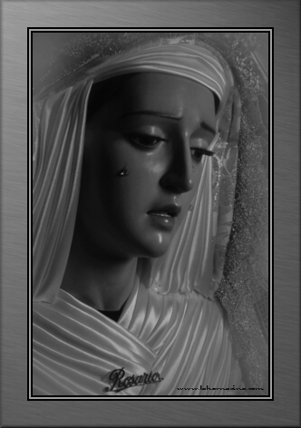 Galería de Fotos