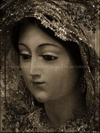 Galería de Fotos