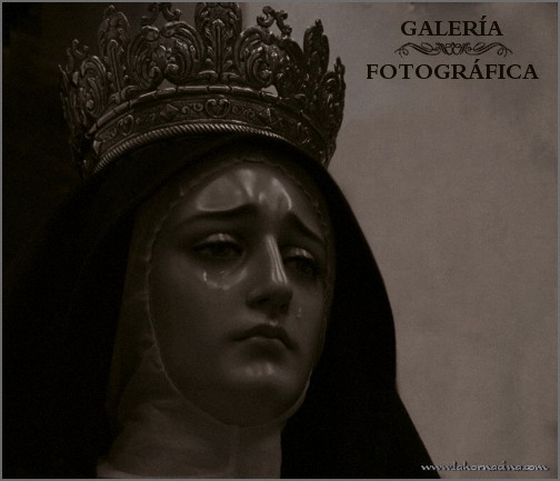 Galería de Fotos