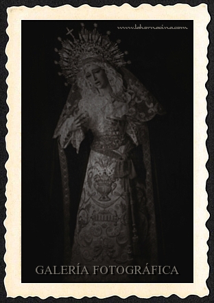 Galería de Fotos