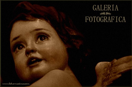 Galería de Fotos