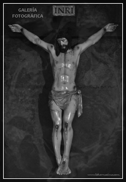 Galería de Fotos