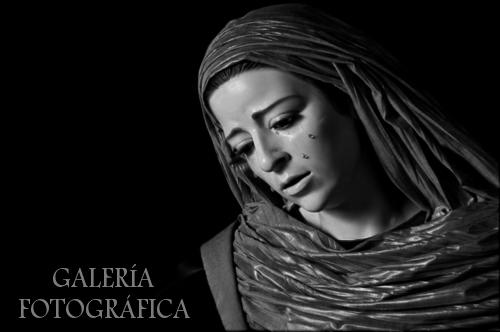 Galería de Fotos