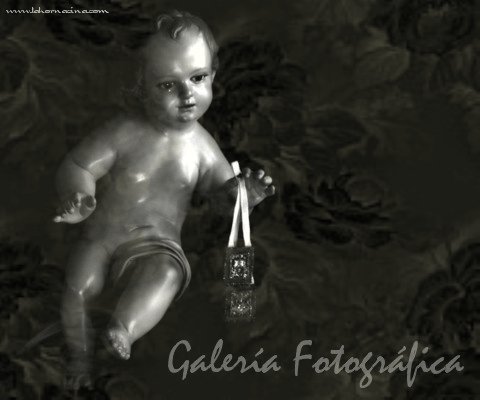 Galería de Fotos