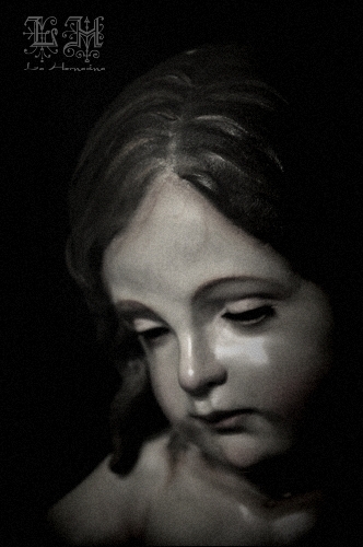 Galería de Fotos
