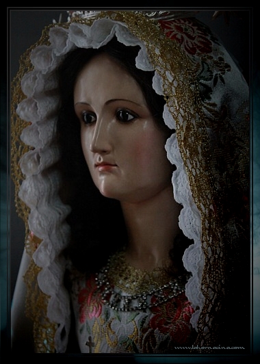 Galería de Fotos