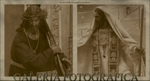 Galería de Fotos