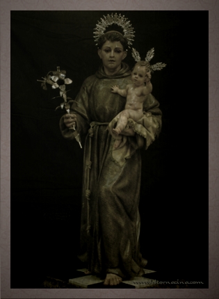 Galería de Fotos