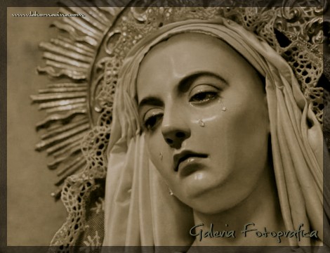 Galería de Fotos