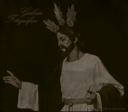 Galería de Fotos