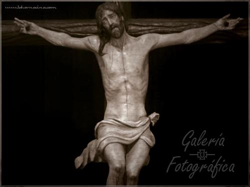 Galería de Fotos