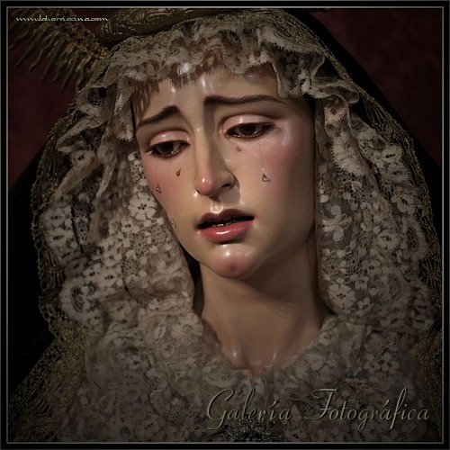 Galería de Fotos
