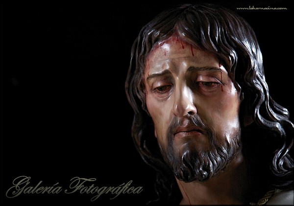 Galería de Fotos