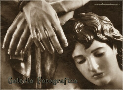 Galería de Fotos