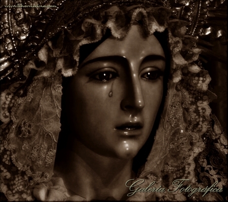 Galería de Fotos