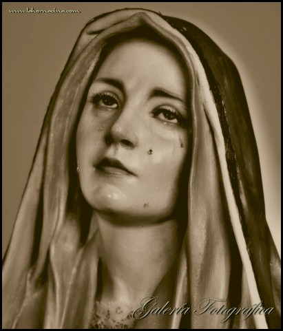 Galería de Fotos