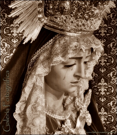 Galería de Fotos